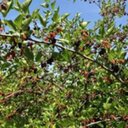 Dylan michel Bushnel - @DylanBushnel - Twitter