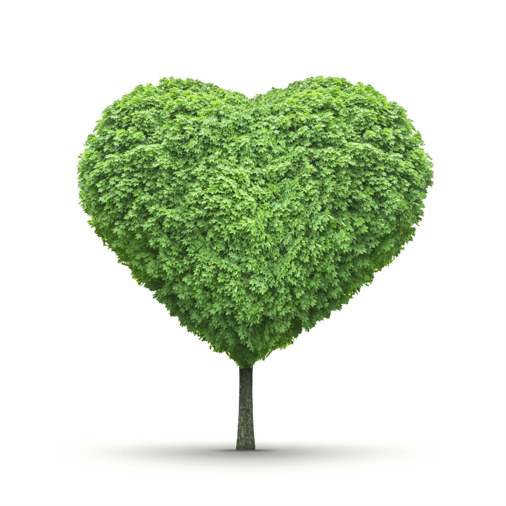 HeartwoodPR Profile Picture