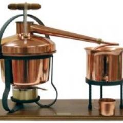 hferdogan's profile picture. 