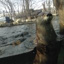 Donovan Duncan - @Donovan_rp12 - Twitter