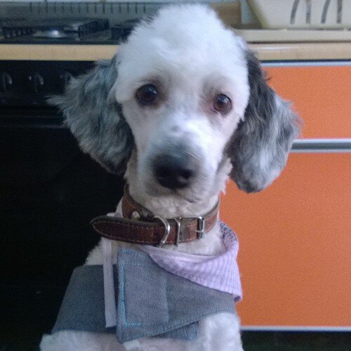 LEOVERITO's profile picture. 