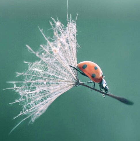 mellisanagy's profile picture. 