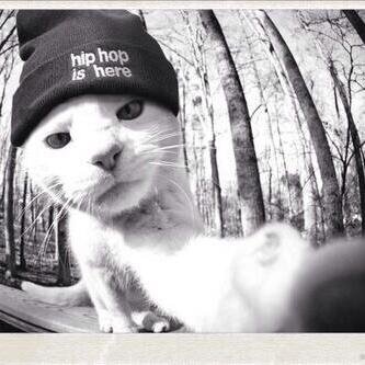 SerkWan's profile picture. -Ojo por ojo, diente por diente. ∆ Definirse es limitarse. De abajo arriba como de cero a cien. El mundo me pillo de gato por eso me hice un perro.