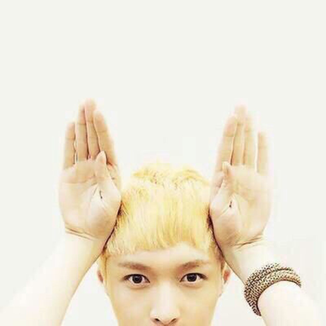 TVXQ/SJ/SNSD/SHINee/f(x)/EXO/4minute...etc。 K-POP大好き学生さん。