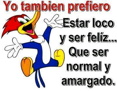 ErlisSalas's profile picture. 