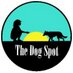 The Dog Spot Rescue (@thedogspot_2012) Twitter profile photo The Dog Spot Rescue (@thedogspot_2012) Twitter profile photo