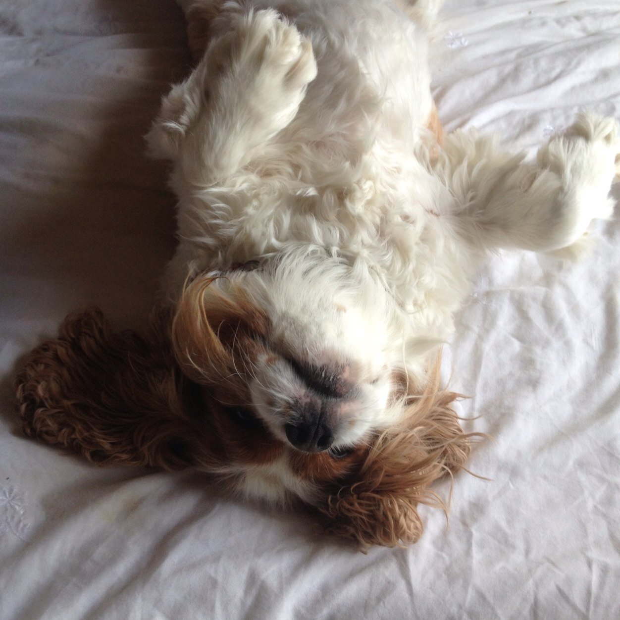 mrsmoon09's profile picture. 