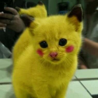 eshketium's profile picture. 