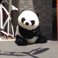 Akira Yamaguchi (@akirams) 's Twitter Profile Photo