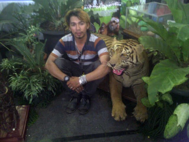 djokersasro's profile picture. 