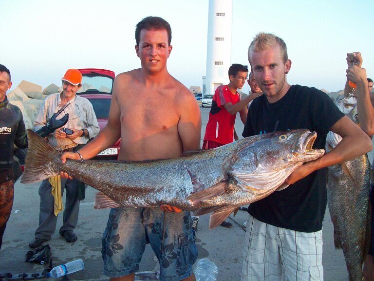 borrero_jos's profile picture. 