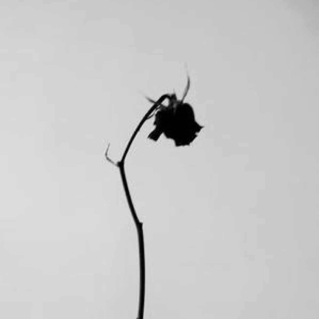i wish i am strong enough