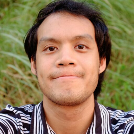 Innovative Programmer, Extremist Geek
