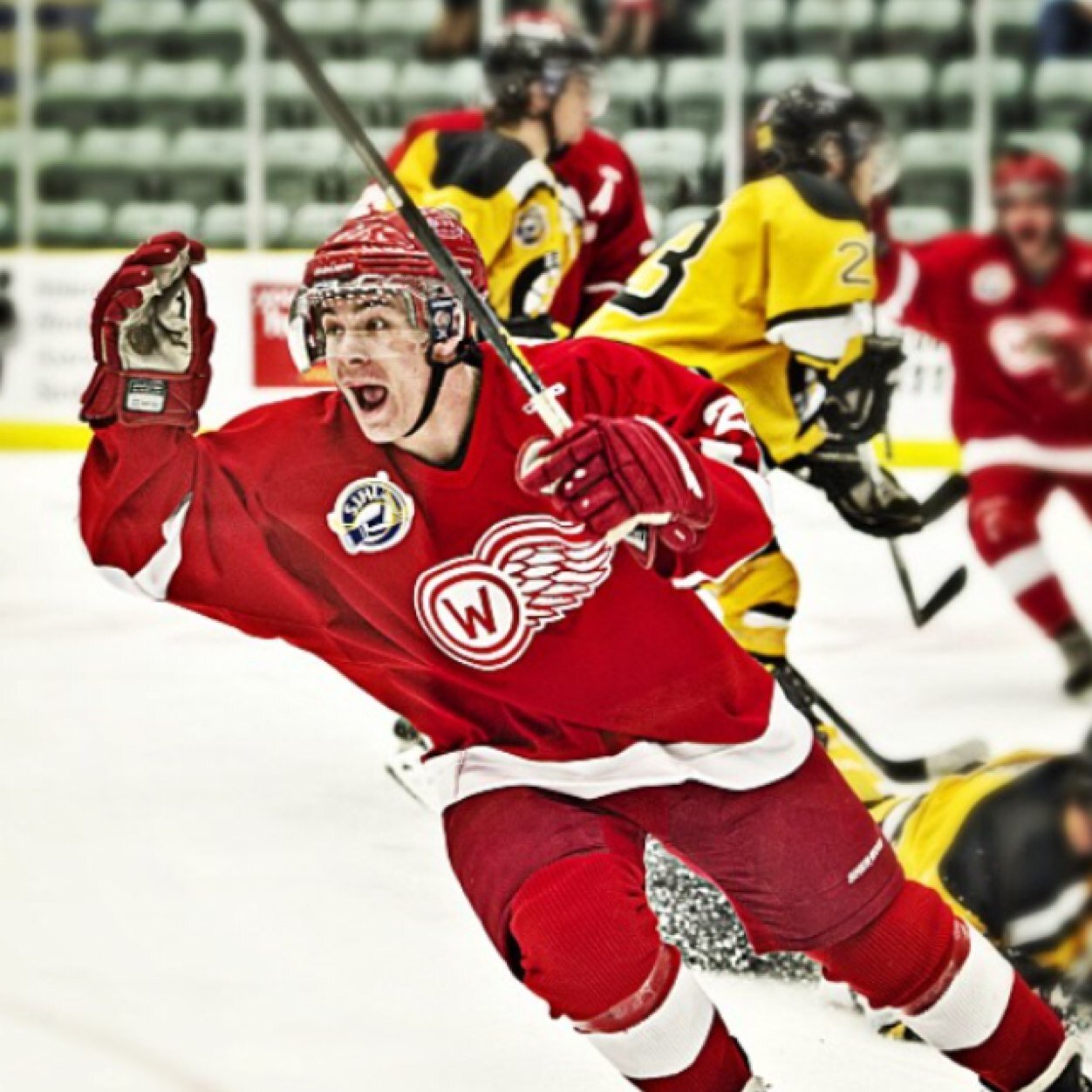 JoshLees19's profile picture. 