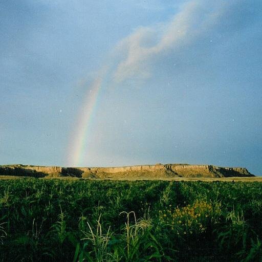 non_bq_shokudou's profile picture. ◉NPO法人みんなの地球のくらしかた 代表       ◉京都オーガニックアクション 理事