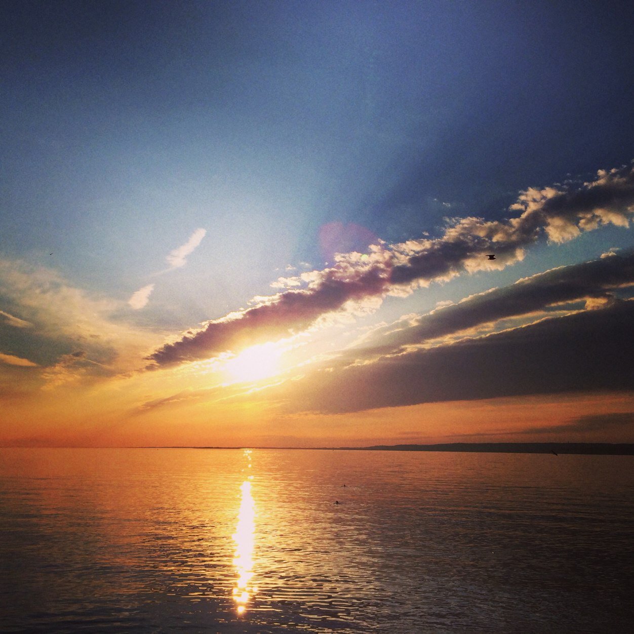 boroparker123's profile picture. 