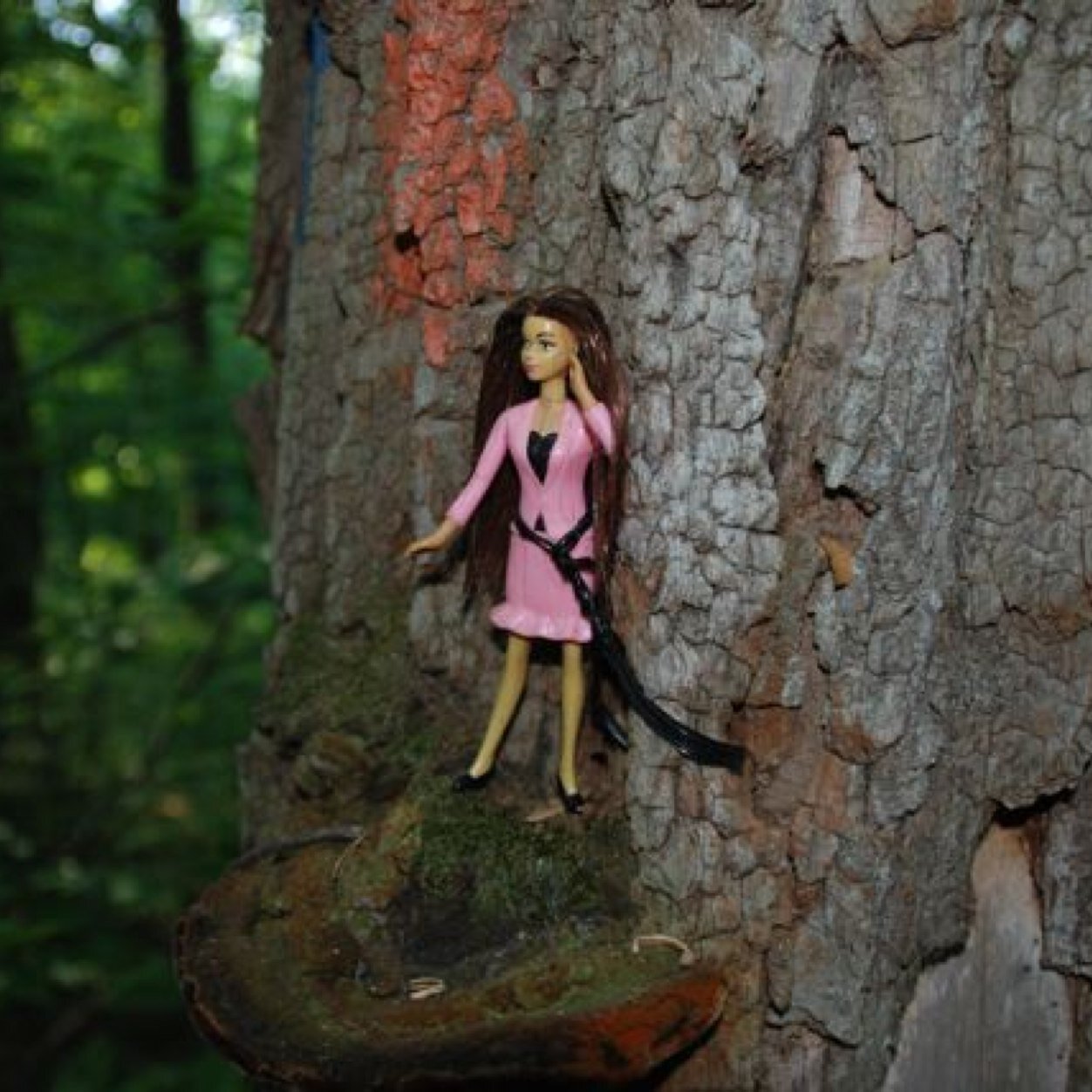 Baygirl72's profile picture. 