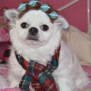 tom & sherry heller - @ts_heller - Twitter