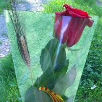 Laura Relats (@laura_relats) 's Twitter Profile Photo