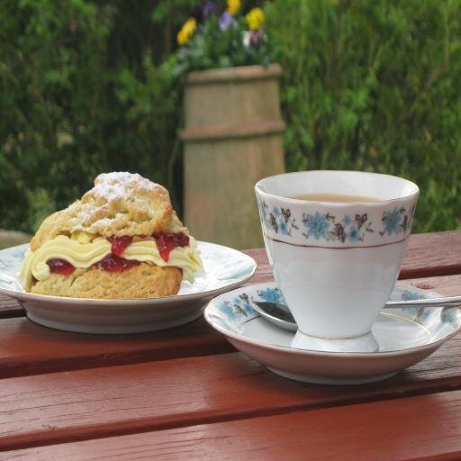 Tea Garden Rosedale N York Moors selling scruptious cakes, Particular Yorkshire cakes, Loose leaf tea, china cups  , beautiful views down the dale of Rosedale.