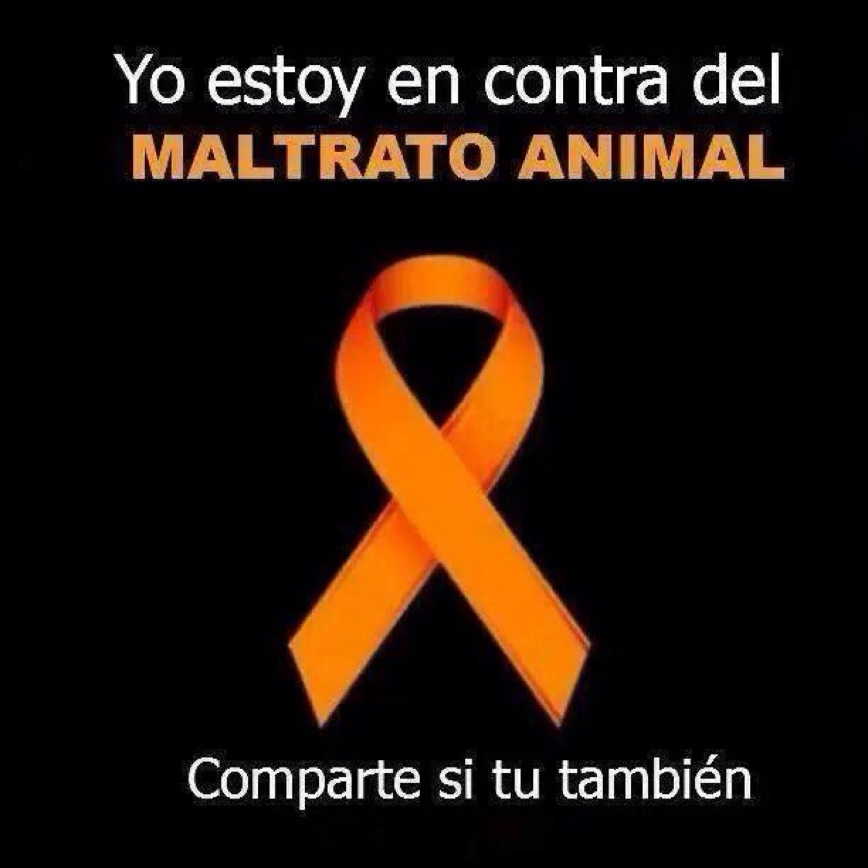 Amo a los animales, los protejo.Antitaurina .La mejor opcion es la Adopcion. Adopta un perrro o un gato.Esteriliza. NO al maltrato animal.Miembro de @FondoBella