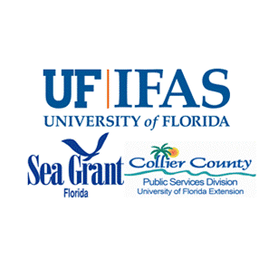 CollierFSG's profile picture. Marine science outreach and education with an emphasis on marine fisheries and seafood