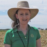 Diane Saunders (@saunders_lab) 's Twitter Profile