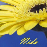 Nida Anwar (@nidafataftah) Twitter profile photo