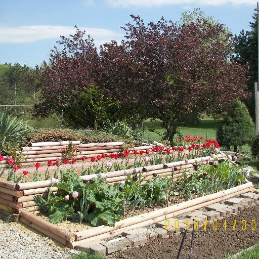 kiwintzy's profile picture. I like our constitution, smaller government, less spending, and less taxes.Government of the people, by the peoople, for the people.  #TPOT