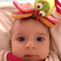 melike erken (@erkenmelike) 's Twitter Profile