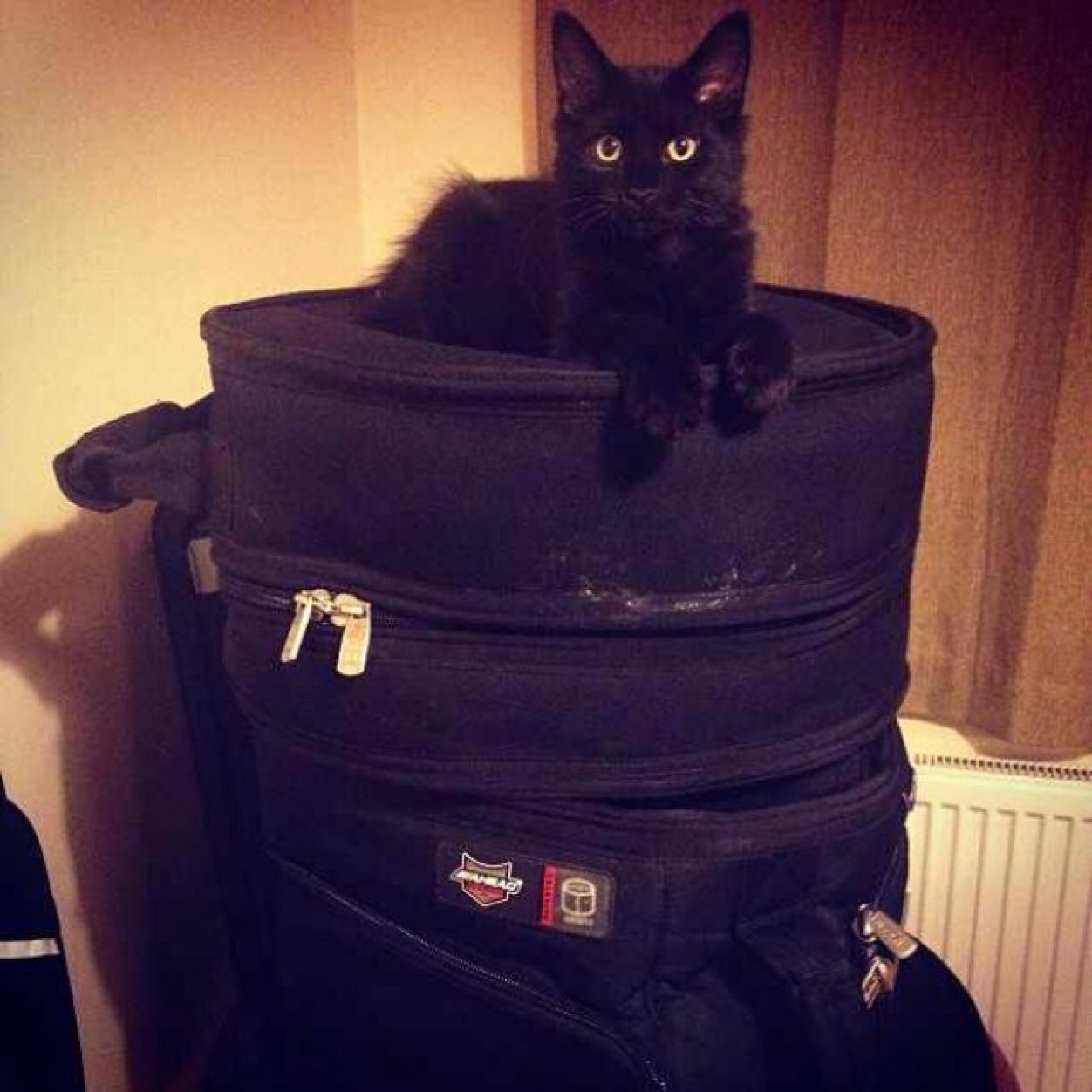 david_standley's profile picture. 