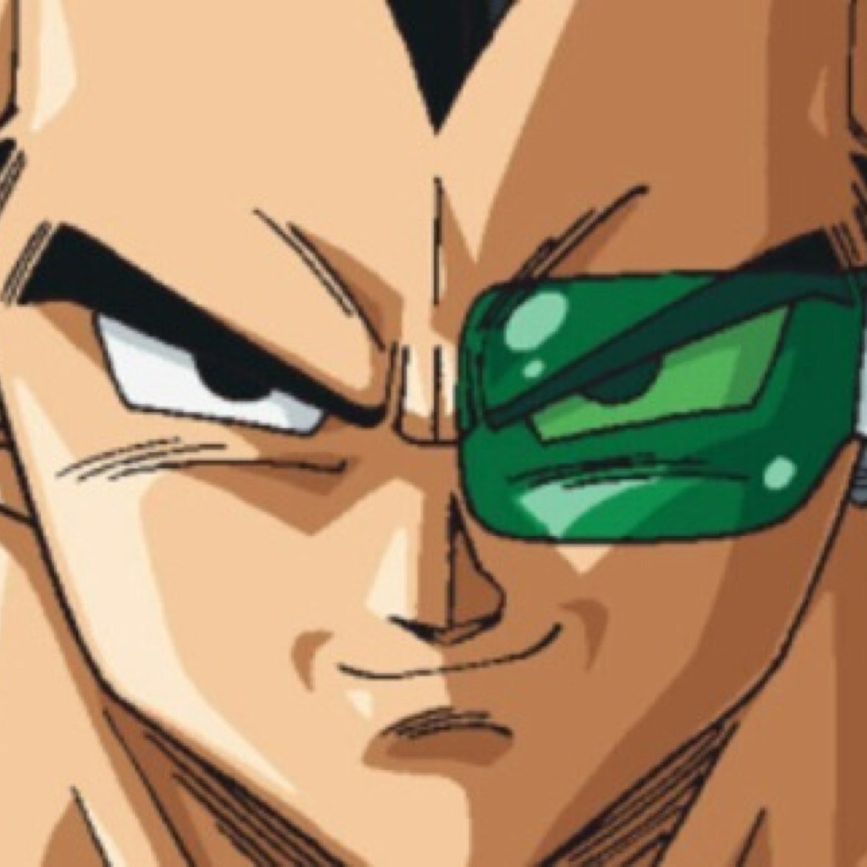 The son of Bardock and brother of the idiot Goku! I am the definition of a true saiyan #MVRP