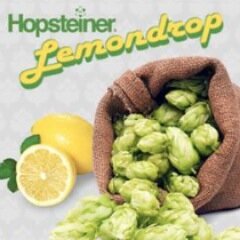 Hops make the world go-round (the beer world that is).