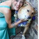 Alexandra Cope - @CopestheticHlth - Twitter