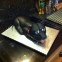 jacky price - @jackynscott - Twitter