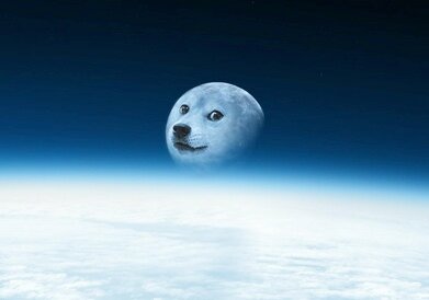 wow -Doge.2013