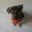 yasminajaraba7's profile image