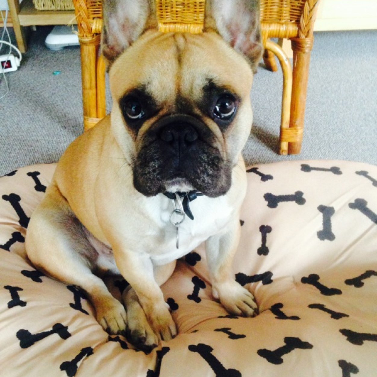 Mallie_DK's profile picture. 