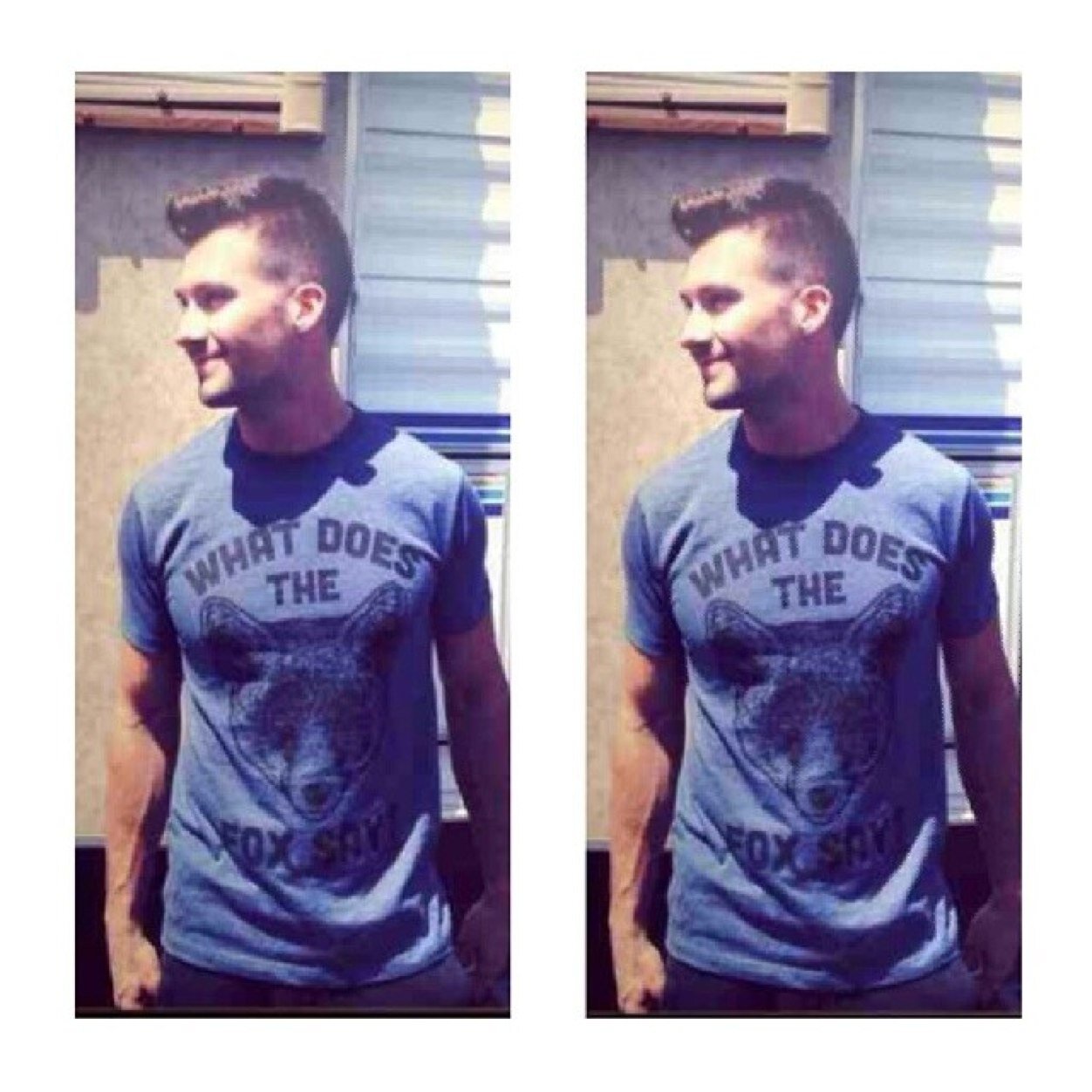 Zayn is the bae