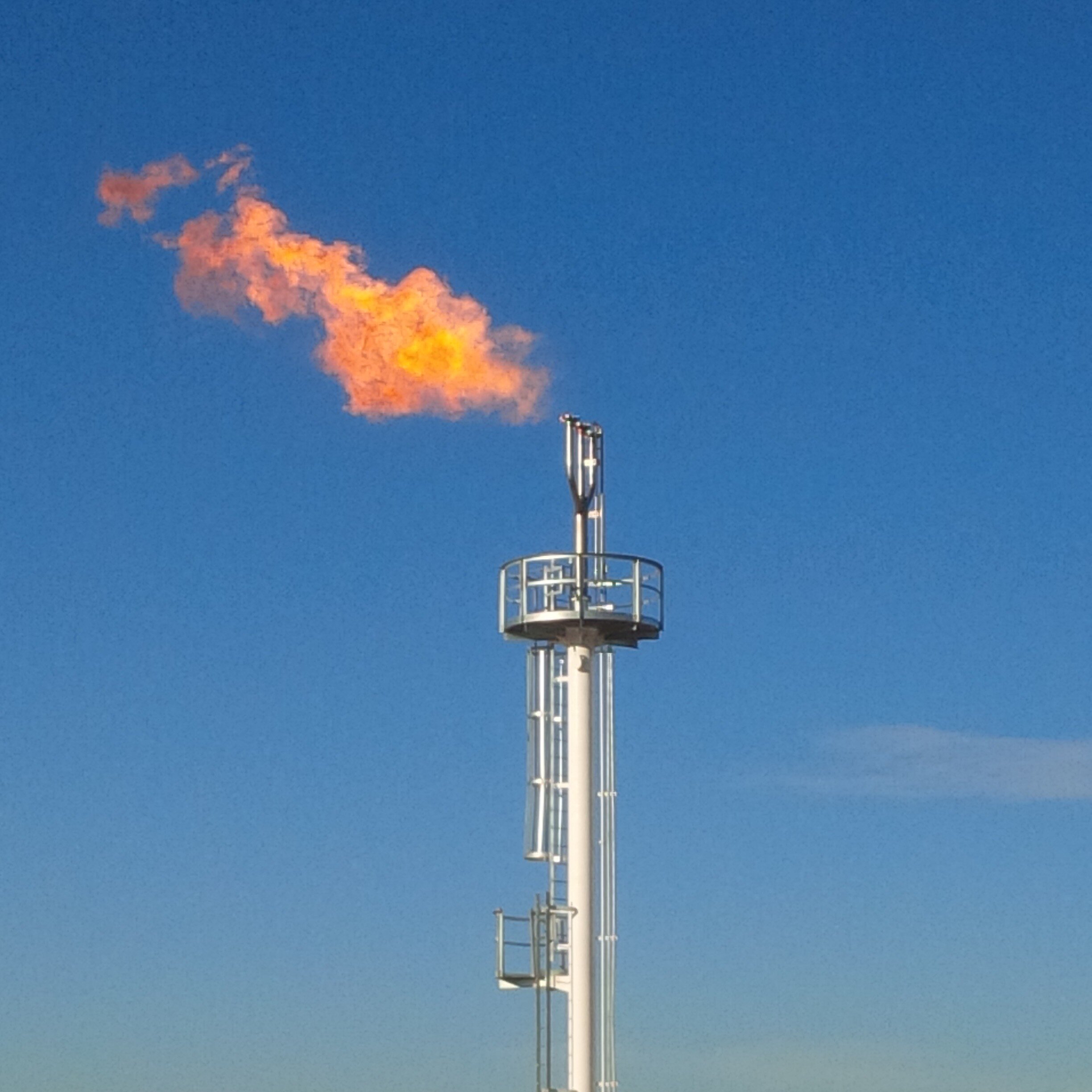 Floresja180's profile picture. 