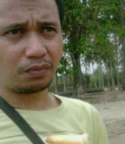 Agen grosir BATRE HIPPO