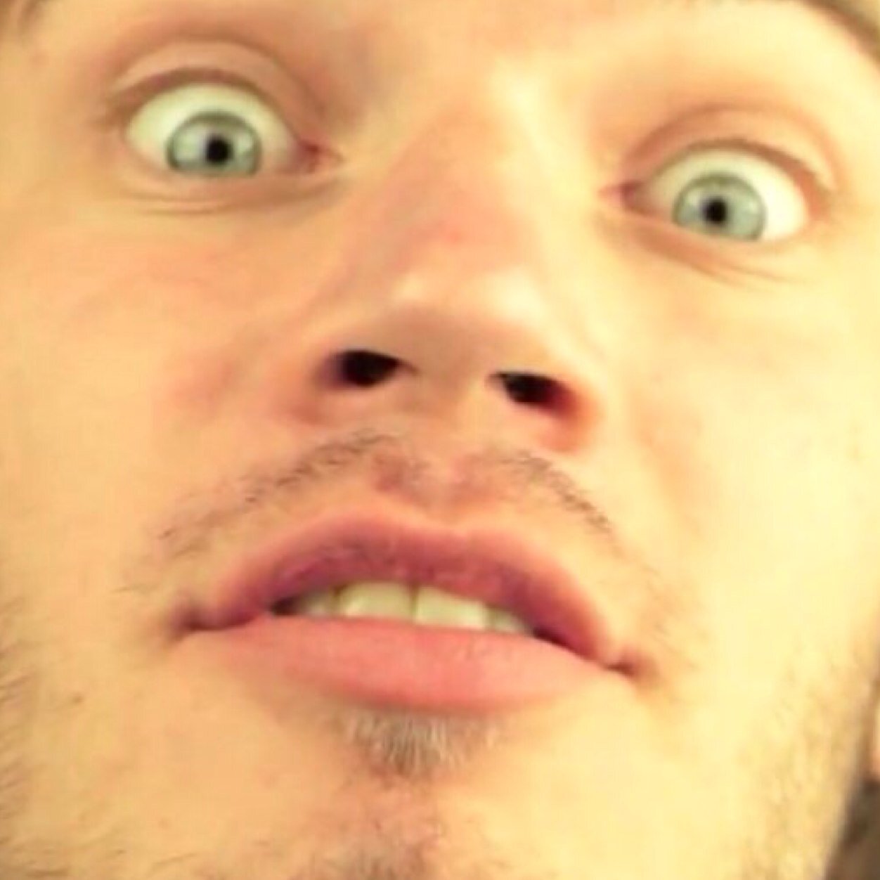 katapultaNaMars's profile picture. 