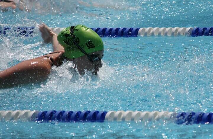 karingroenn's profile picture. 19 jaar / vwo 6 / swimming isn't just a sport, it's a lifestyle.-NOVA / you know my name, not my story.