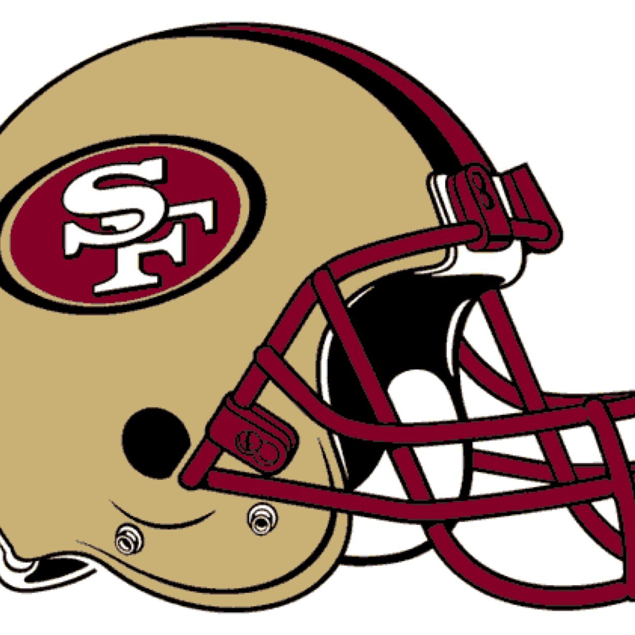 #Ninerfaithful #niners love the niners?