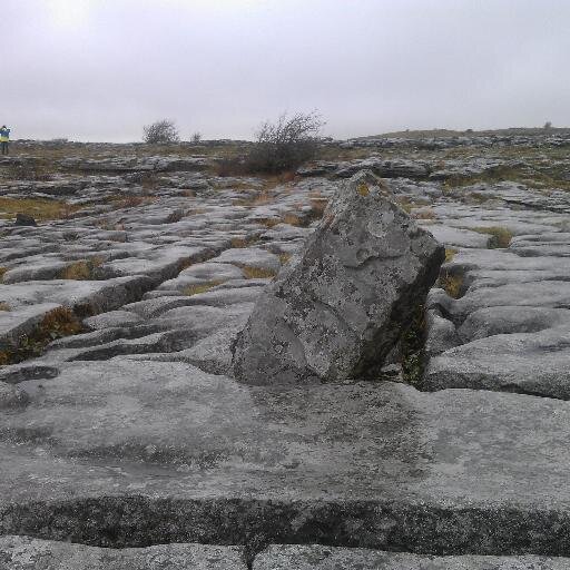 MWojcik28's profile picture. Student&18 | Seriously, life is more than mere coincidence | Waiting for Friday