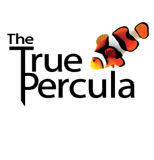 A Premium Aquarium Store