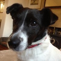 David Richards (@david260766) 's Twitter Profile