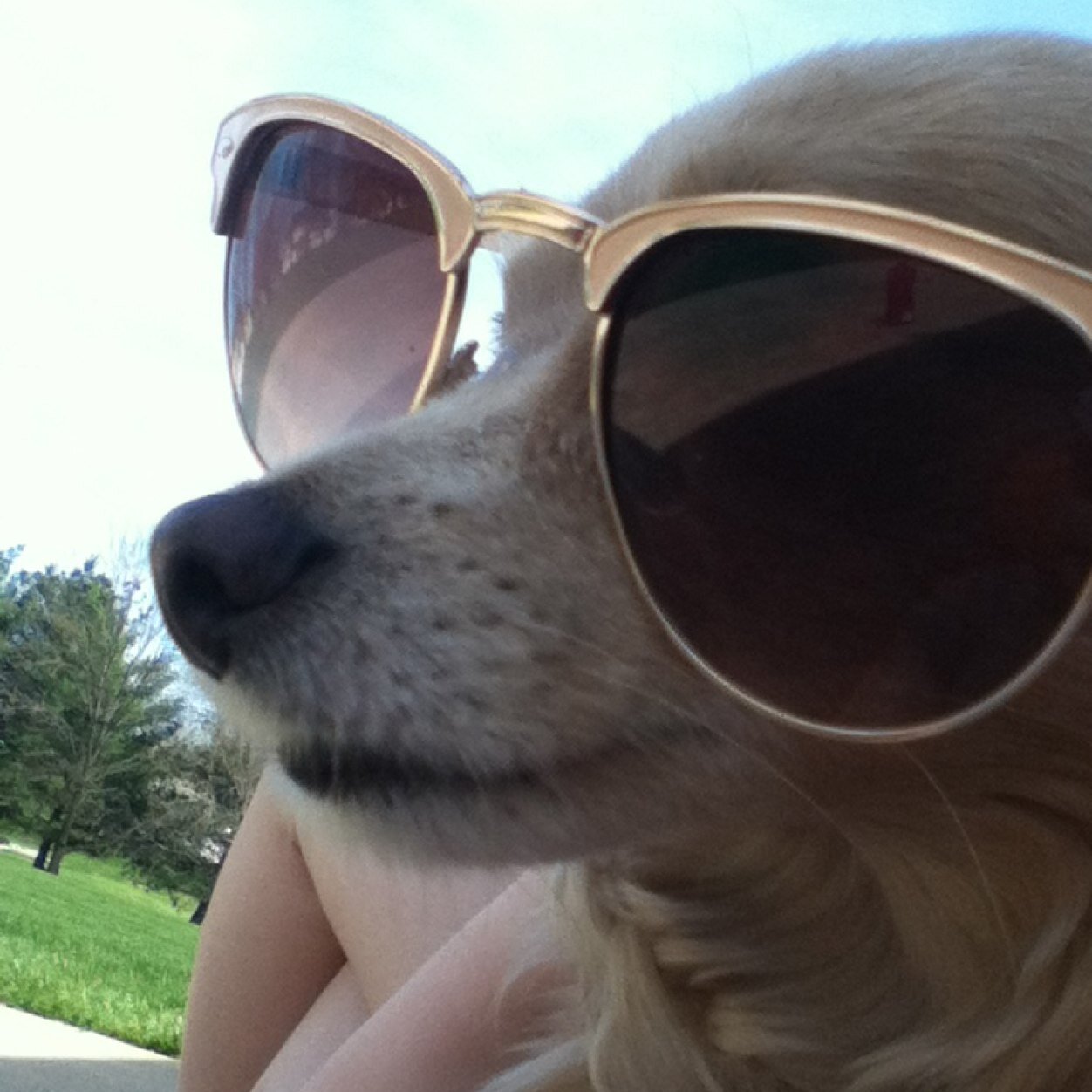 allison__coil's profile picture. 