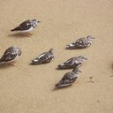 Stephen Pickles - @stephenjpickles - Twitter