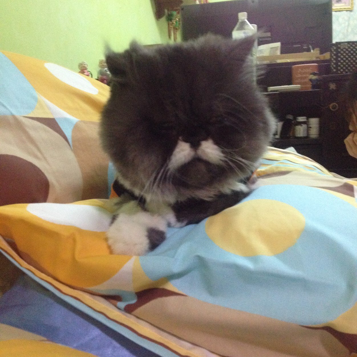 Heart_Giggs's profile picture. 